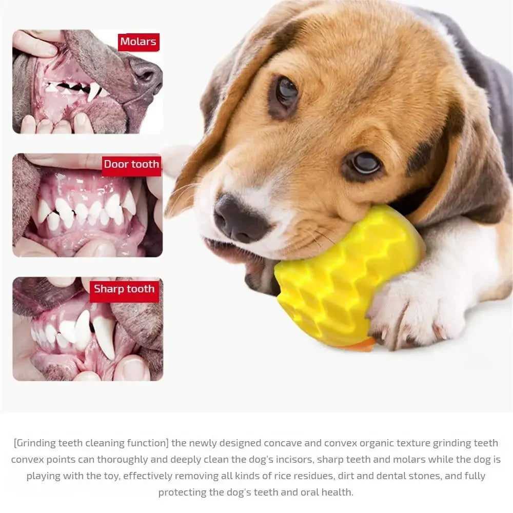 Pet Teeth Chewing Toy